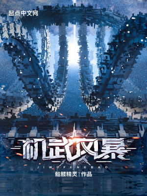 机武风暴完整无错版