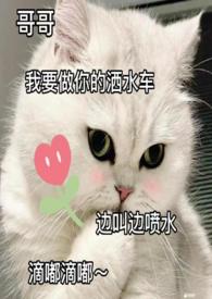 难抵情深似海小说陈默大结局